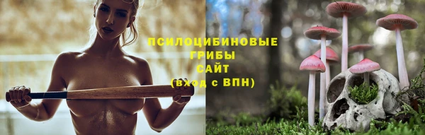 твердый Зеленокумск