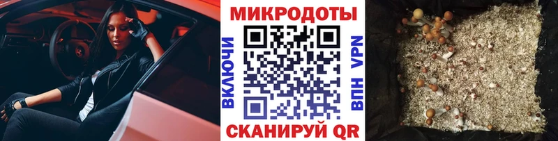 Купить где  Заводоуковск  Галлюциногенные грибы MAGIC MUSHROOMS 